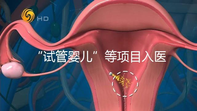 “試管嬰兒”等項(xiàng)目入醫(yī)保能如期落地嗎?廣西回應(yīng)