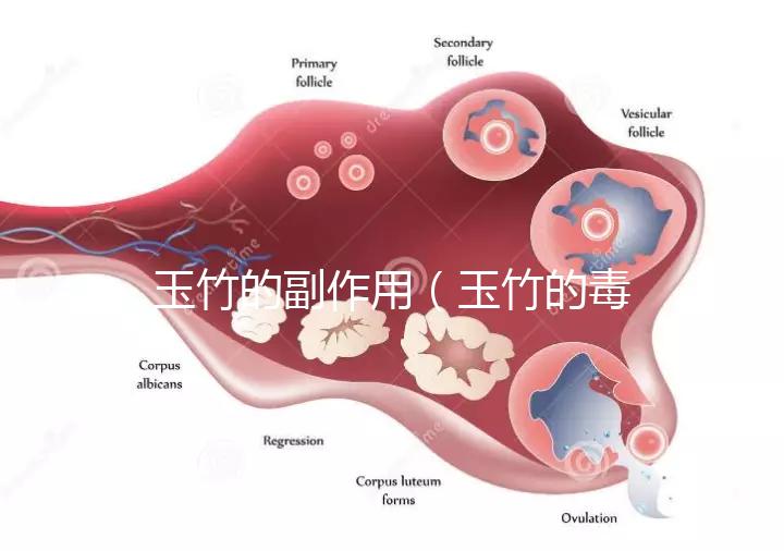 玉竹的副作用（玉竹的毒性有多強？）