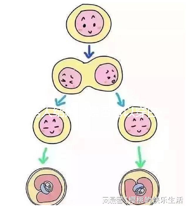 男人結婚時是否可以穿白色鞋子和白色西裝進行分析，看看對誰不利