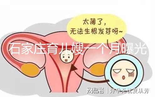 石家莊育兒嫂一個(gè)月曝光多少錢？馬寶:公司級(jí)別越高越貴