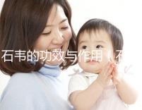 石韋的功效與作用(石韋的功效與作用主要治什么?。? /></div><var lang=