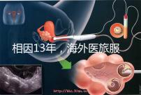 相因13年,海外醫(yī)旅服務(wù)標(biāo)準制定者