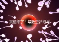 真相來了!導致空卵泡與多囊卵巢有關,區別在于以下四點,多研究