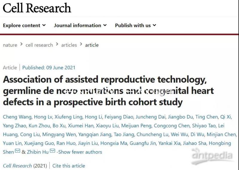 白術的功效(白術對男性性功能的效果)