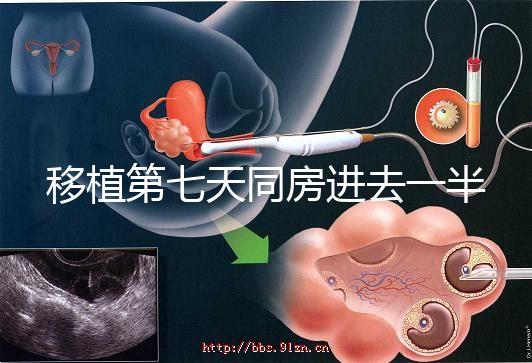 移植第七天同房進去一半有無影響戳,沒出血問題就不大