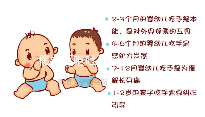 移植后嘔吐是怎么回事？這3大原因別忽視，選對治療方案可促著床！