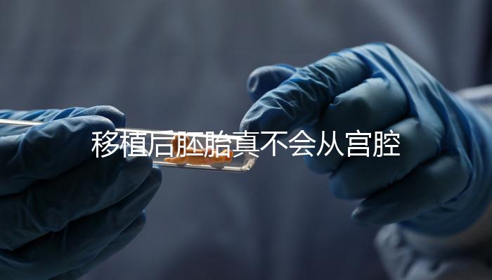 移植后胚胎真不會(huì)從宮腔掉出來！原因有這些...