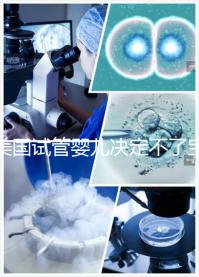 美國(guó)試管嬰兒決定不了寶寶身高、智商,但這些可以...