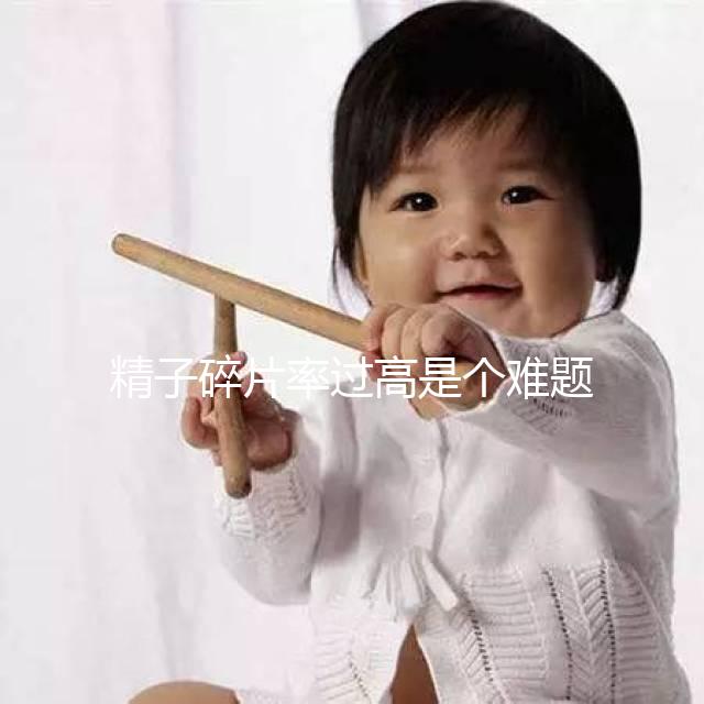 精子碎片率過高是個難題,改善質(zhì)量只靠勃銳精可不行