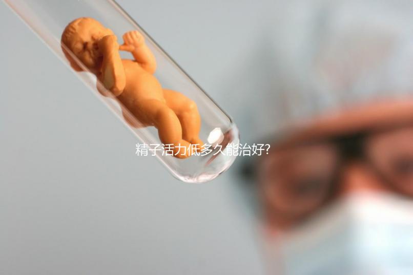精子活力低多久能治好?快速恢復(fù)的3個訣竅就在這里了
