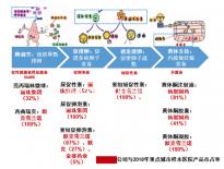 精子濃度高需及時(shí)治療，搭配飲食調(diào)理助你突破生育危機(jī)