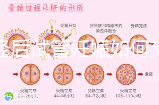 絕經后試管妊娠如何支持黃體戳，醫生：掌握時間很重要