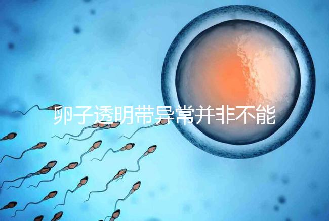 卵子透明帶異常并非不能治療好，你不知道的終極解決方法！