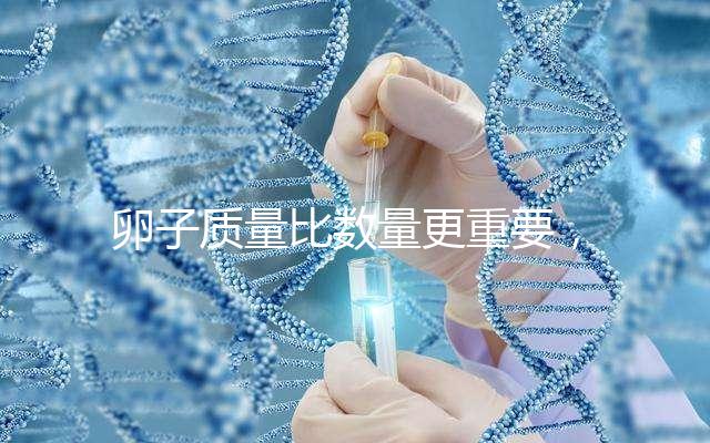 卵子質(zhì)量比數(shù)量更重要,9個卵泡生男孩也很難