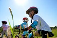 單純皰疹病毒利巴韋林