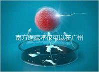 南方醫(yī)院不僅可以在廣州做b超，2024年黃浦區(qū)收費(fèi)最高...