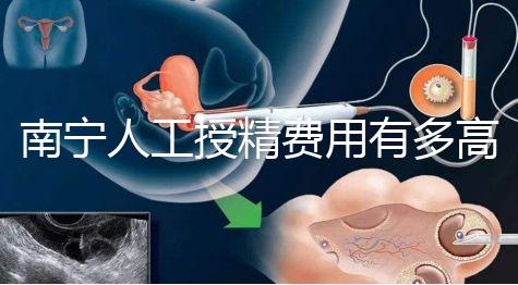 南寧人工授精費用有多高?各家醫(yī)院收費標(biāo)準(zhǔn)表給你答案