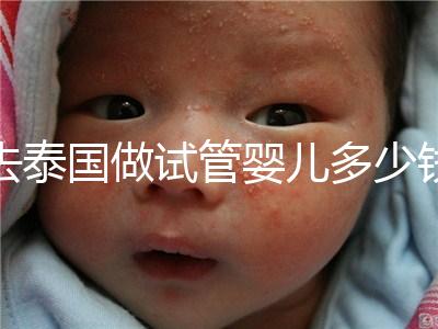 去泰國做試管嬰兒多少錢（泰國做試管嬰兒多少錢優惠）