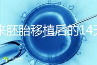 原來胚胎移植后的14天，這些信號預示著床成功