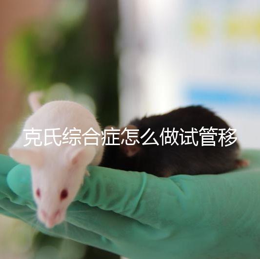 克氏綜合癥怎么做試管移植看這,促排取卵一個流程不能少