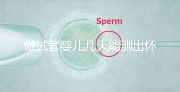 做試管嬰兒幾天能測出懷孕，3招教你提高試管成功率