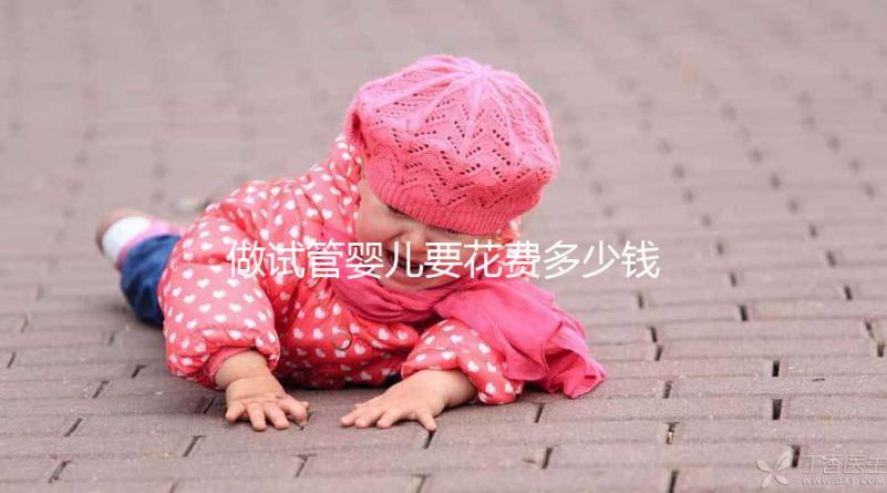 做試管嬰兒要花費(fèi)多少錢(qián)