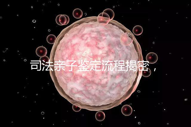 司法親子鑒定流程揭密,附準備材料請一并參考