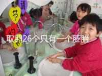 取卵26個只有一個胚胎成功率不低，次月移植凍胚易著床