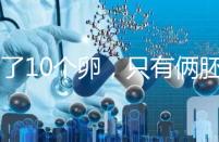 取了10個卵，只有倆胚胎？卵都去哪了？