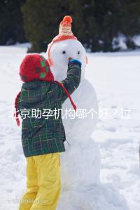 北京助孕機(jī)構(gòu)哪個好?過來人其強(qiáng)力推薦北京這五家助孕公司