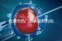 北京市熱門助孕服務機構排名榜單!這三家性價比比較出眾!