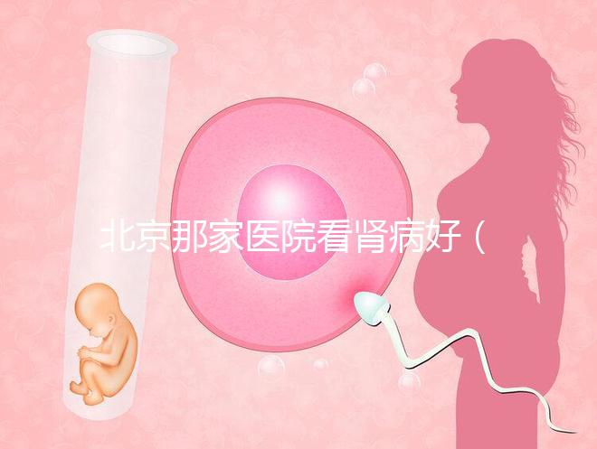 北京那家醫院看腎病好（北京腎病十大醫院排名）