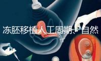 凍胚移植人工周期、自然周期怎么選？哪個成功率高？