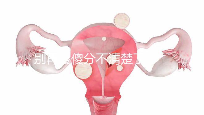 別再傻傻分不清楚了!少精與弱精擁有這3大明顯區(qū)別