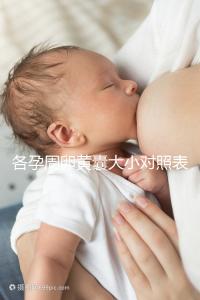 各孕周卵黃囊大小對照表，偏大、偏小都不正常