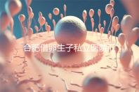 合肥借卵生子私立醫院匯總，2024哪家排名好一覽了然