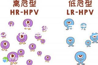 合肥做試管嬰兒要花多少錢？進周期前這些注意事項都來看看