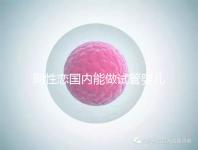 同性戀國(guó)內(nèi)能做試管嬰兒?jiǎn)?大多將希望寄托于海外試管