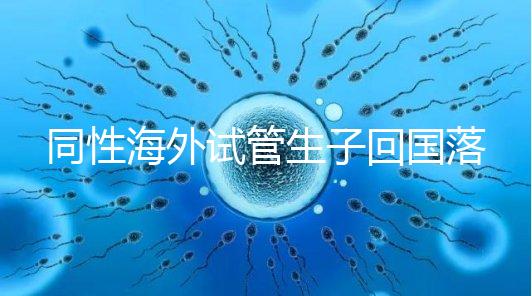 同性海外試管生子回國(guó)落戶講方法,男同上戶過(guò)程更復(fù)雜