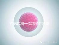 在醫(yī)院捐一次精子并不是白捐,補(bǔ)償多少錢這里告訴你