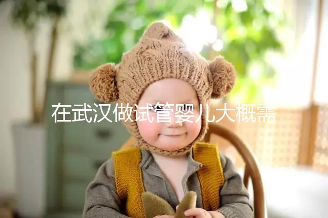 在武漢做試管嬰兒大概需要多少錢？武漢同濟醫院做試管可以選性別嗎？