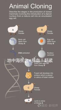 地中海貧血≠貧血!趕緊來看看地貧和貧血有什么區(qū)別
