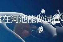 地貧在河池能做試管嬰兒嗎？廣西哪些醫(yī)院能做第三代試管？