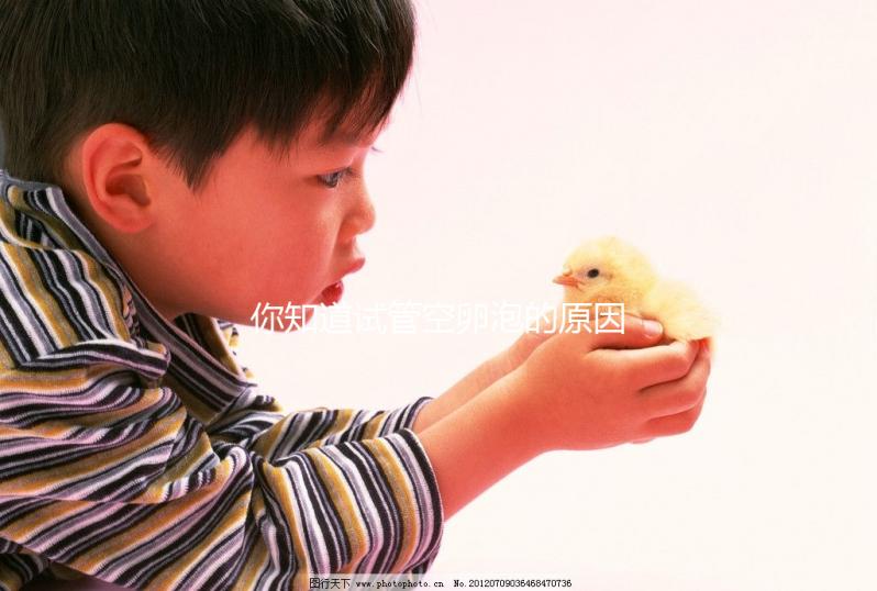 你知道試管空卵泡的原因和癥狀是否會消失嗎？