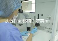 從促排到移植！夢美hrc試管嬰兒流程共7步
