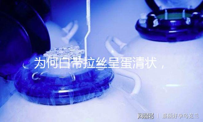 為何白帶拉絲呈蛋清狀,揭示女性排卵期的特征