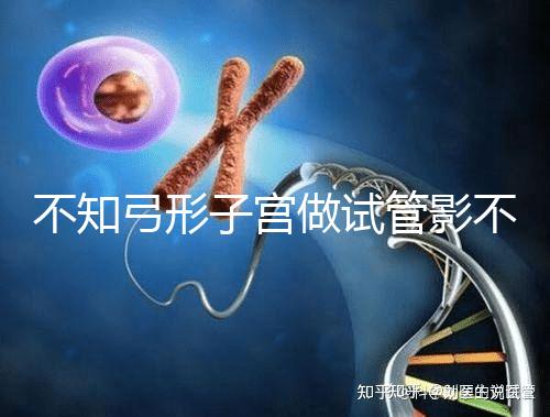 不知弓形子宮做試管影不影響移植速覽，有多危險趁早了解