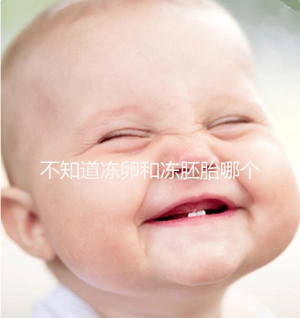 不知道凍卵和凍胚胎哪個成功率高？這篇告訴你區(qū)別所在