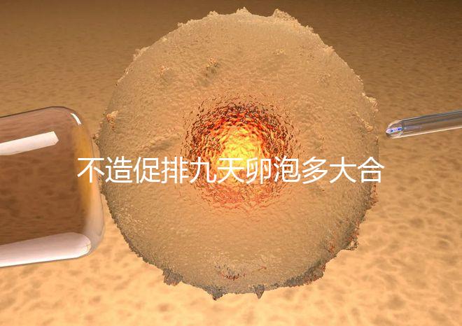 不造促排九天卵泡多大合適的瞧,卵巢功能好卵子10還能長