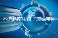 不造越南生孩子怎么帶回國(guó)戶口?流程和資料都有